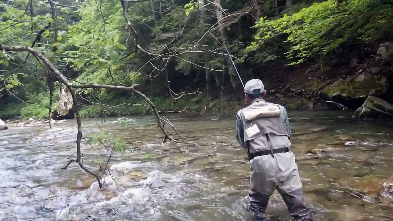 Pêche de la truite, du saumon et de l'alose dans les Pyrénées