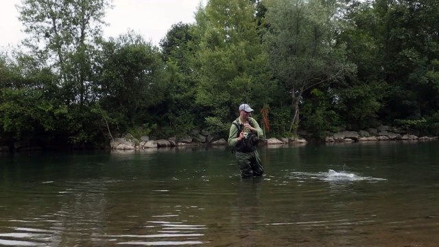 Pêche de l'alose au leurre souple sur un gave des Pyrénées