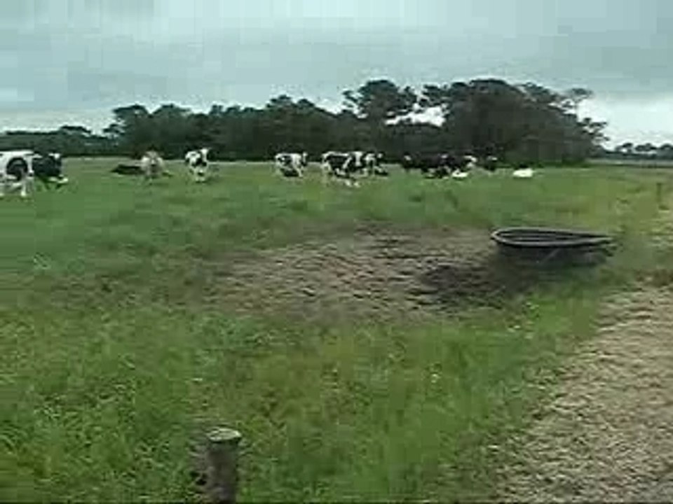 stuntro alc team padé only !