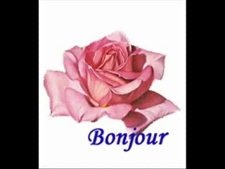 Pour ma meilleure copine du net