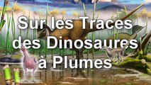 Post Scriptum 23 - Sur les Traces des Dinosaures à Plumes