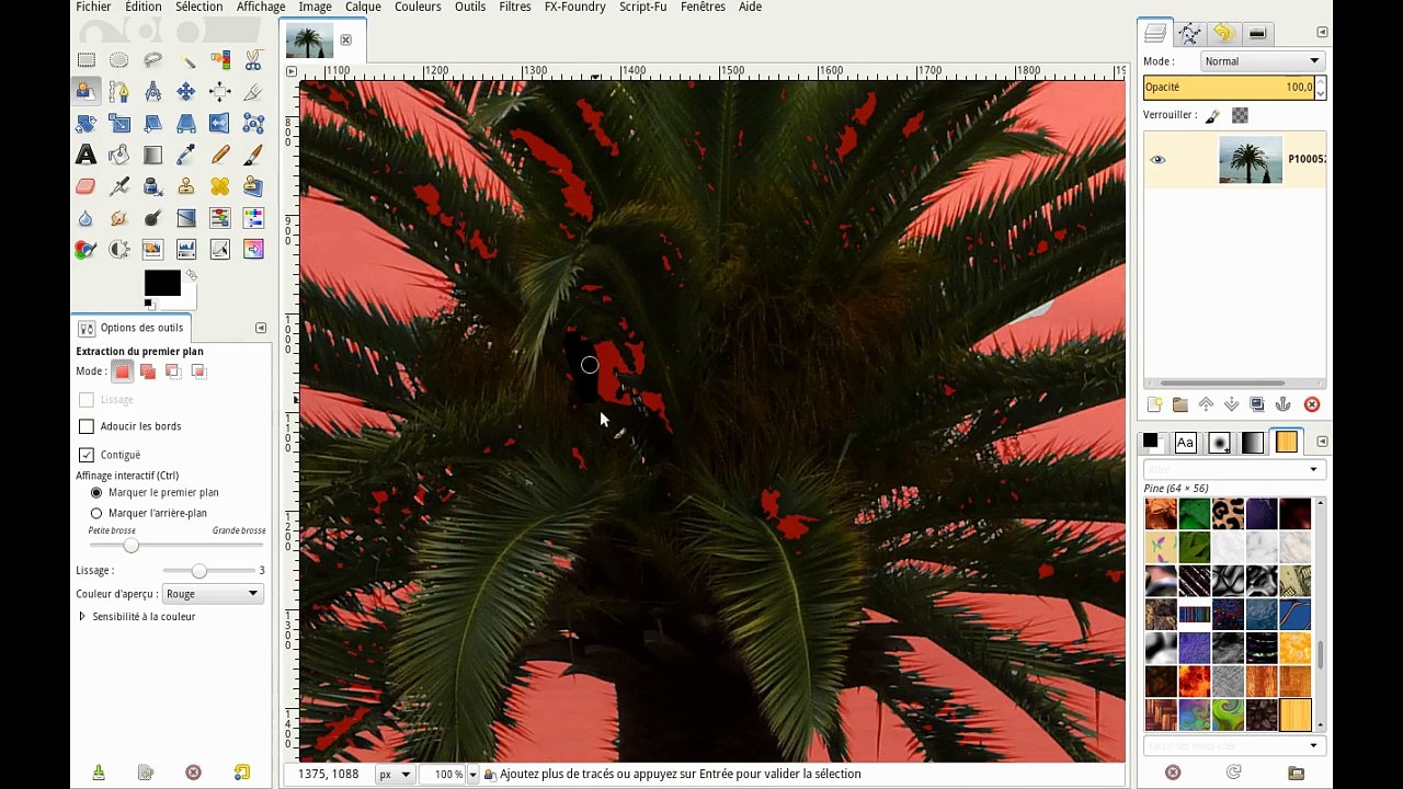 GIMP : détourage avec « extraction de premier plan »