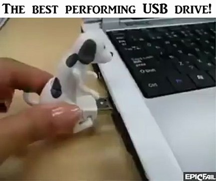 humping Dog USB (funny)