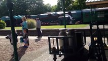 Bluebell railway scenes