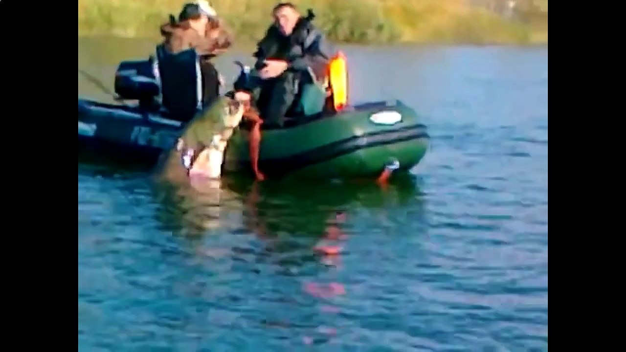 Смешное Видео Приколы 2015 Ржач