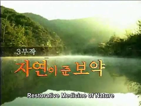 Science- Power of Negative Ions