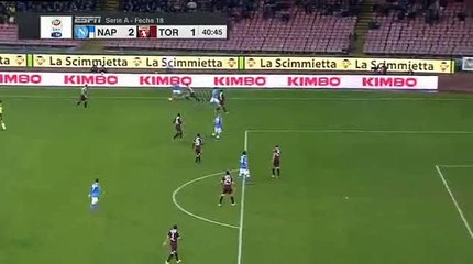 Marek Hamsik Goal 2-1 Napoli vs Torino