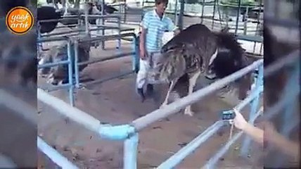 Böyle Şaka Düşman Başına :)))