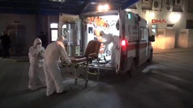 Konya'da Domuz Gribi Şüphesi