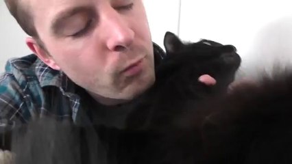 Does YOUR Cat Like Kisses-