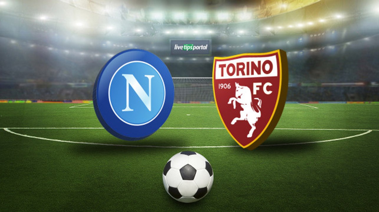 Napoli vs Torino 2-1 Goals & Highlights