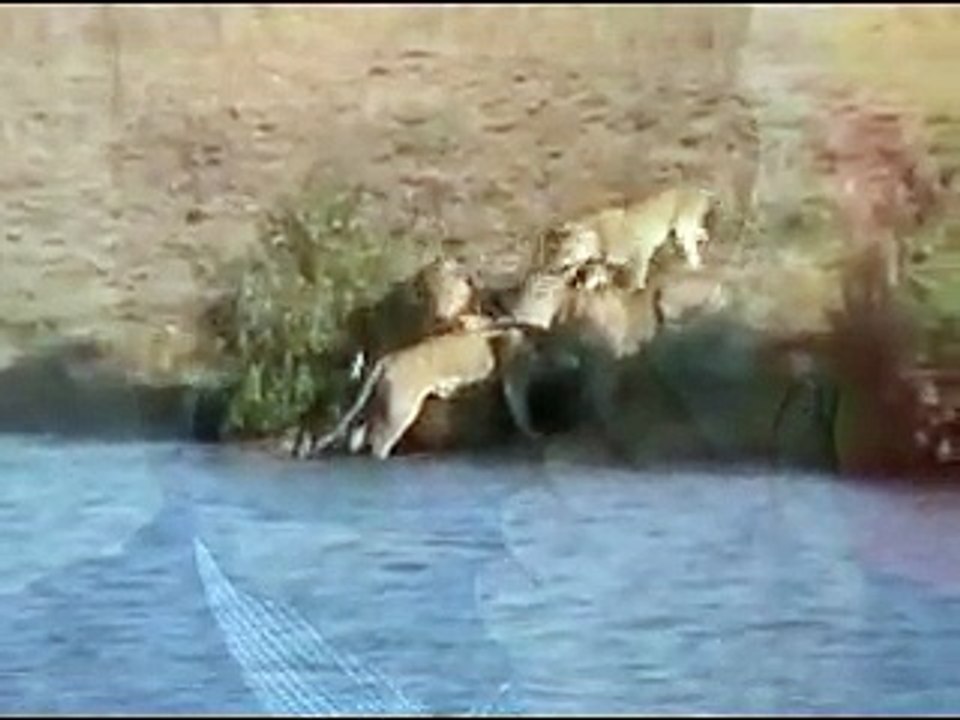 Eritrean song By-Yemane Baria-ሕብረት