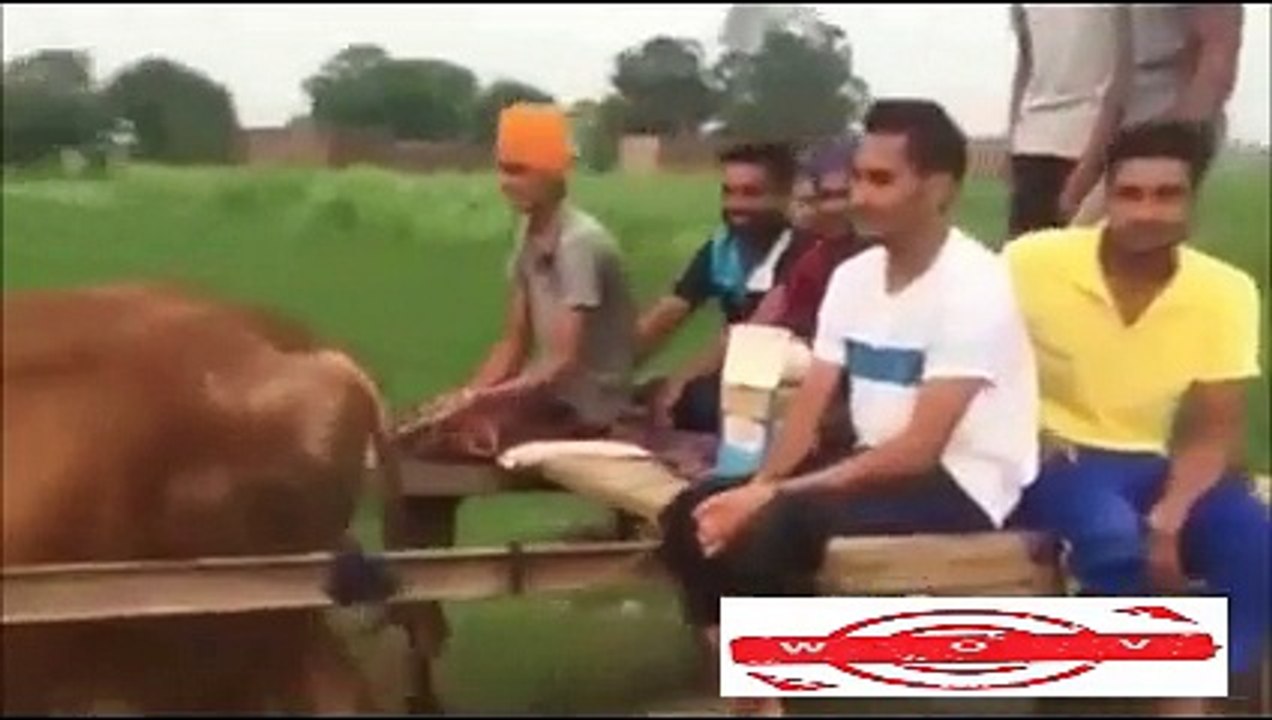 funny desi fails