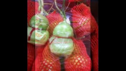 Dua le than tai gia si - Dưa lê thần tài giá sỉ và lẻ tại hồ chí minh