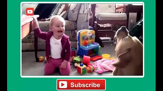 Babies Laughing at Funny Pets Baby Laughing at Funniest Animals Compilation 2014