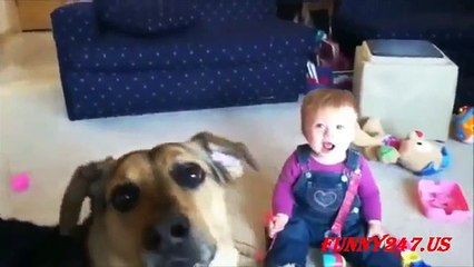 Dog Making Babies Laugh Compilation