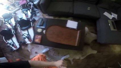 Jake Paul Daily Life Day 10 WE are BACK in ACTION!