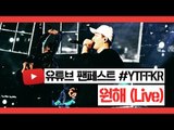 유튜브 팬페스트 - 노래 부르는 최고기 / 원해(Want you) (Live) #YTFFKR (Youtube Fanfest)