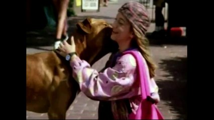 DVD-R Hell: Tequila and Bonetti: Runt of the Litter