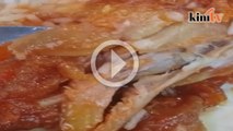 Video ulat 'merayap-rayap' dalam ayam goreng