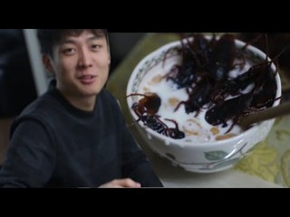 밥먹는 릴마블에게 바퀴벌레 100마리 뿌리기(스팀보이의복수)