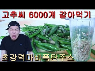 "청양고추씨 6000개 갈아먹기"(초강력마비폭탄주스) - 스팀보이