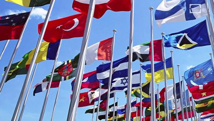 The Knights of Malta | CLASSIC