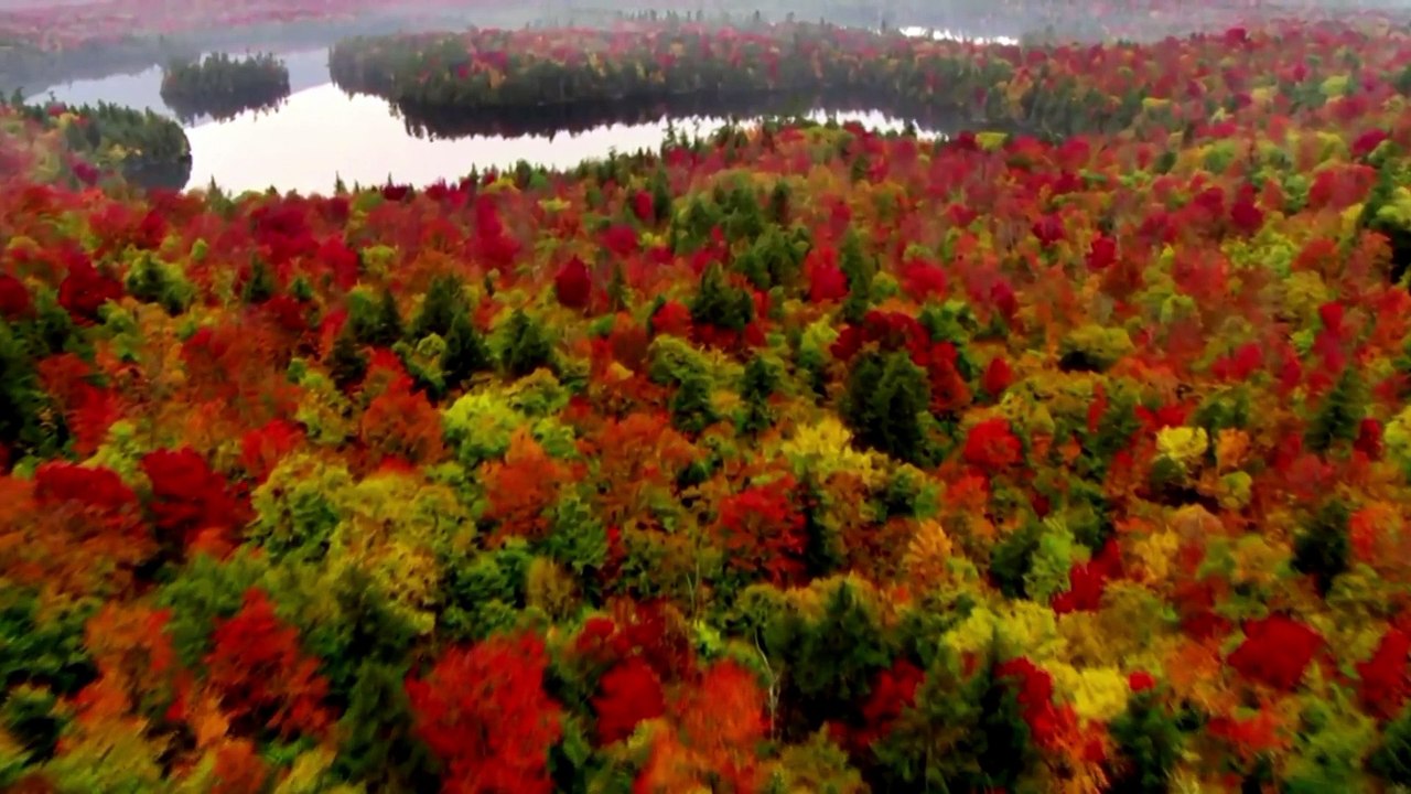 a écouter. magnifique voeux de ce magnifique homme