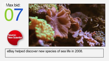 10 Things You Didnt Know About eBay