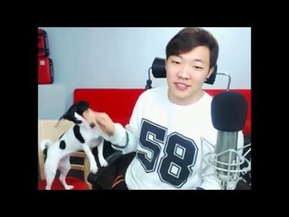 강아지와 썸타는 최고기