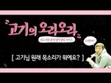 [최고기] 고기의 오라오라 - 고기님 원래 목소리가 뭐예요?