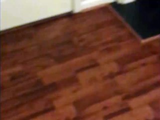 Kid Gets Head Stuck In The Toilet