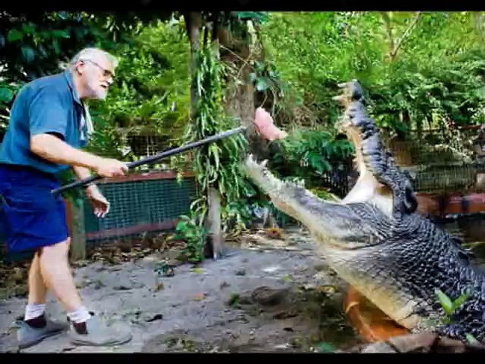 GUINNESS WORLD RECORD--BIGGEST CORCODILE IN THE WORLD