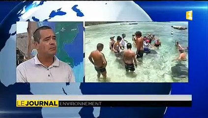 Le raie Feeding réglementé