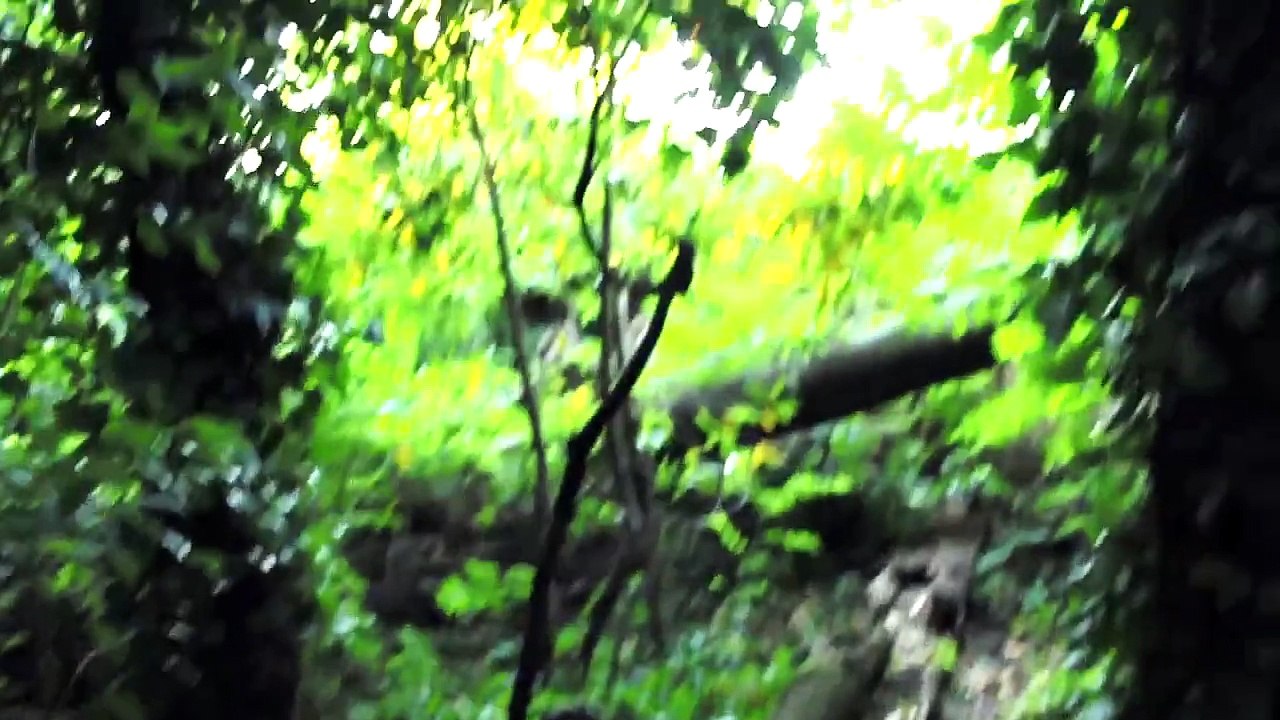 L'île de Poveglia (Le Grand JD) #humour #paranormal #étrange expérience