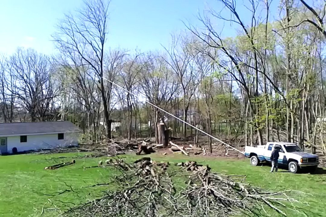 Il coupe un arbre et le fait tomber sur sa maison... Oups