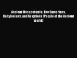 Read Ancient Mesopotamia: The Sumerians Babylonians and Assyrians (People of the Ancient World)