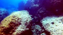 Cyprus diving in Canyon Cape Greco dive site with Viking Divers