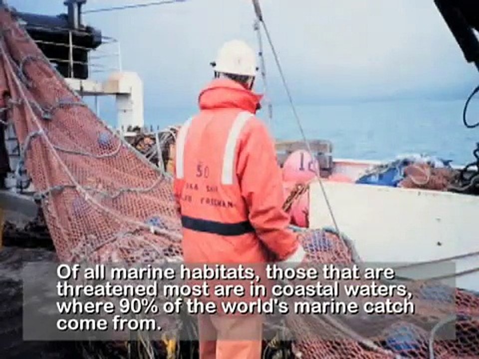 Celebrating and Conserving Our Coastal Heritage