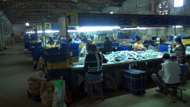 Kitchen Cabinet Hardware & Kitchen Cabinet Fittings - China: Eco Gas Spring / Production 17