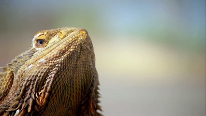 Top Gear Series 22: Episode 2 trailer – Top Gear – BBC