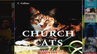 Church Cats