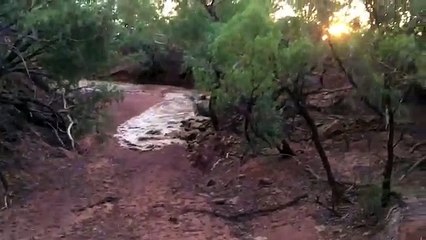 Queensland Floods - Drought Relief Double Rainbow (original)