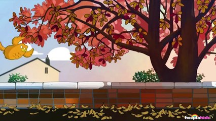 I'm a Daddy Long Legs