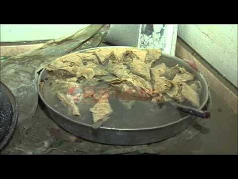 Të jetosh me ujin, drama e familjeve të përmbytura në Shijak- Ora News- Lajmi i fundit-