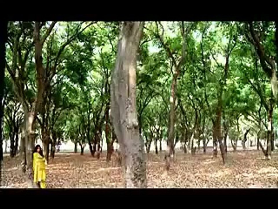 Jo Chaley To Jaan Se Guzar Gaye Title Song Geo-TV