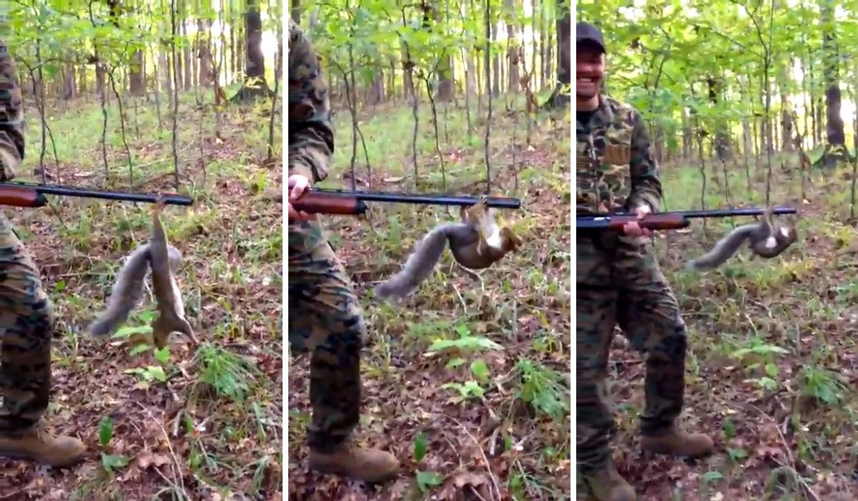 Sincap Avcının Tüfeğine Tırmandı