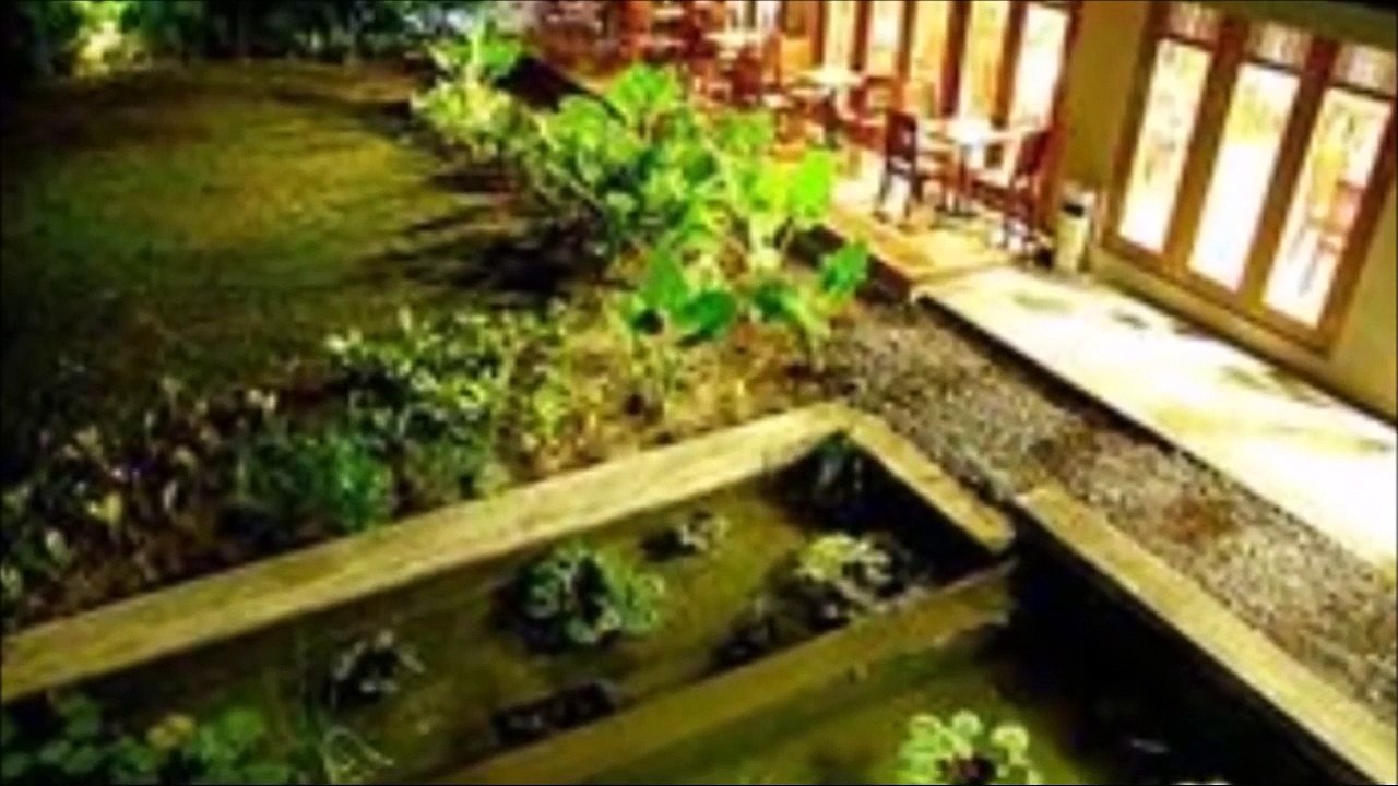 Belum Rainforest Resort