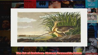 The Art of Audubon Sixteen Frameable Prints