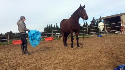 Challenge 7 - Elo et Romagne friendly game